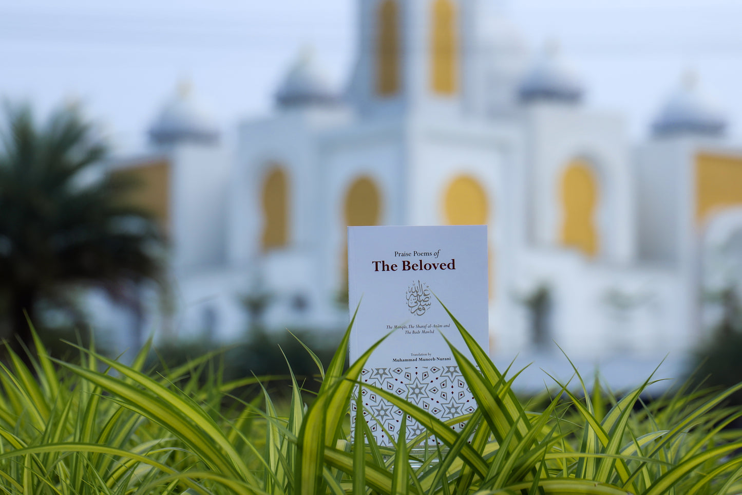 Praise Poems of the Beloved